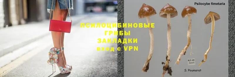 Псилоцибиновые грибы Psilocybe  shop клад  Боровичи  купить  сайты 